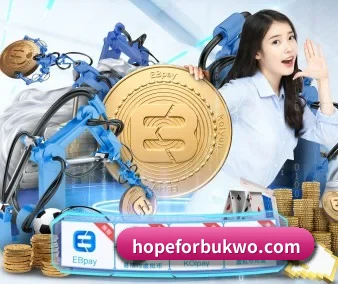 星空体育登录入口 APP